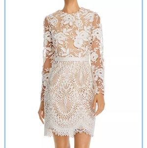 Calypso long sleeve lace cocktail dress